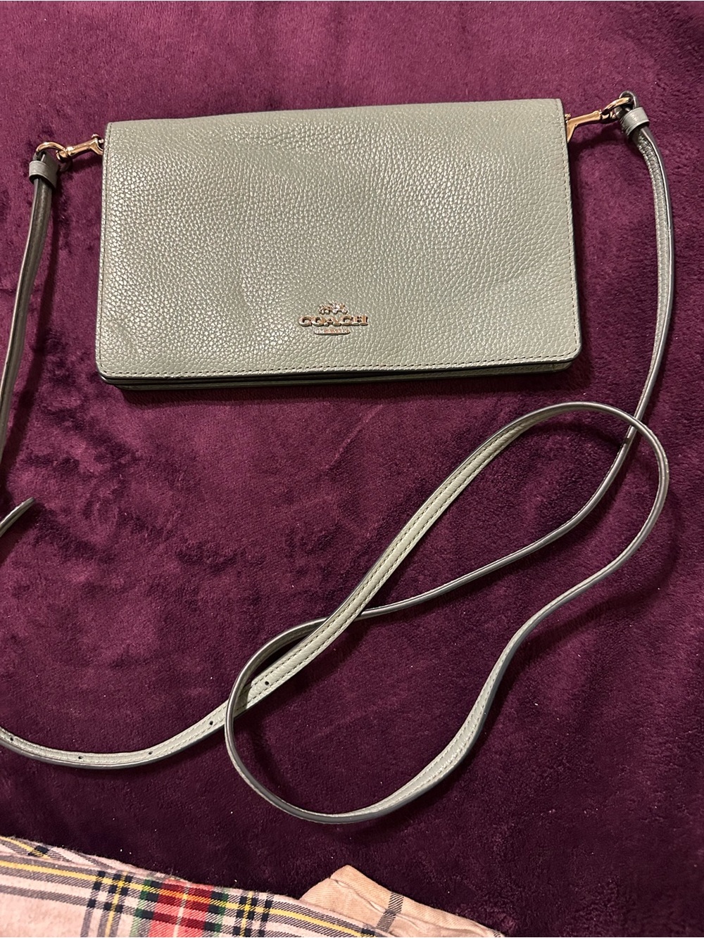 Coach Pebbled Leather Crossbody in Light Sage with Gold Hardware